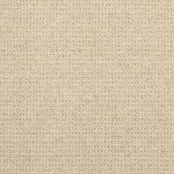 Masland  Dublin Carpet 9242 032