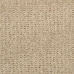 Masland  Dublin Carpet 9242 501