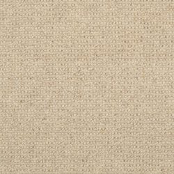 Masland  Dublin Carpet 9242 525