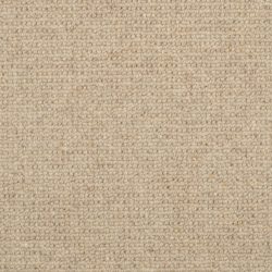 Masland  Dublin Carpet 9242 535