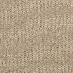 Masland  Dublin Carpet 9242 555