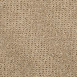 Masland  Dublin Carpet 9242 568