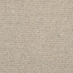 Masland  Dublin Carpet 9242 800