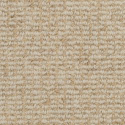 Masland  Heatherpoint Carpet 9247 501