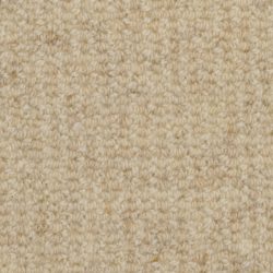 Masland  Heatherpoint Carpet 9247 502