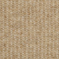 Masland  Heatherpoint Carpet 9247 503