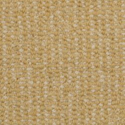 Masland  Heatherpoint Carpet 9247 905