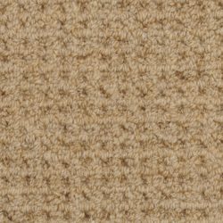 Masland  Etchings Carpet 9248 502
