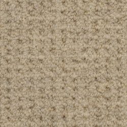Masland  Etchings Carpet 9248 804