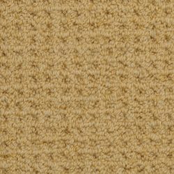 Masland  Etchings Carpet 9248 905