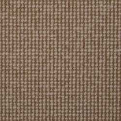 Masland  Natural Point Carpet 9252 540