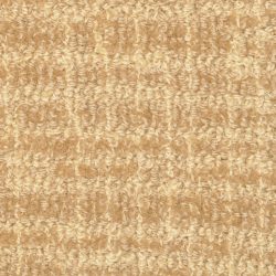 Masland  Adagio Carpet 9254 318