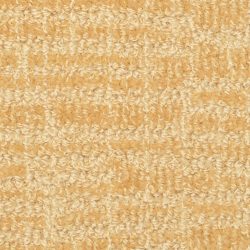 Masland  Adagio Carpet 9254 410