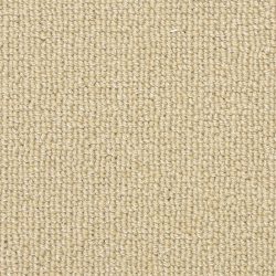 Masland  Capri Carpet 9289 342