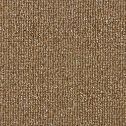Masland  Capri Carpet 9289 353
