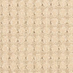 Masland  Copenhagen Carpet 9292 011