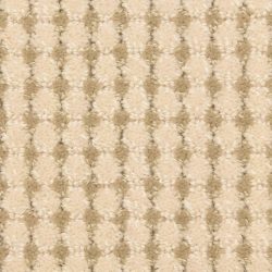 Masland  Copenhagen Carpet 9292 121