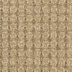 Masland  Copenhagen Carpet 9292 263