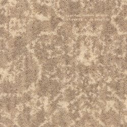 Masland  Darien Carpet 9299 613