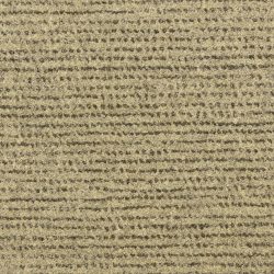 Masland  Vesta Carpet 9303 243