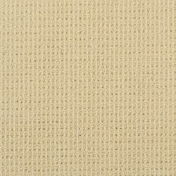Masland  Bandala Carpet 9352 314