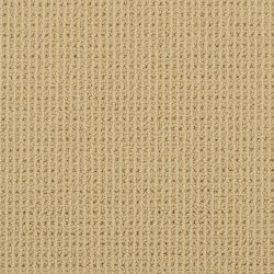 Masland  Bandala Carpet 9352 333