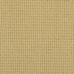 Masland  Bandala Carpet 9352 361