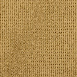 Masland  Bandala Carpet 9352 380