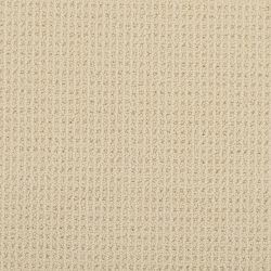 Masland  Bandala Carpet 9352 531