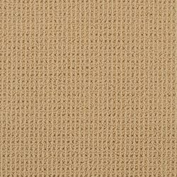 Masland  Bandala Carpet 9352 563
