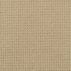 Masland  Bandala Carpet 9352 565