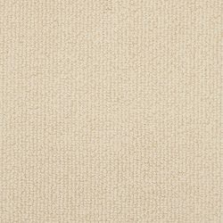 Masland  Montego Carpet 9398 033