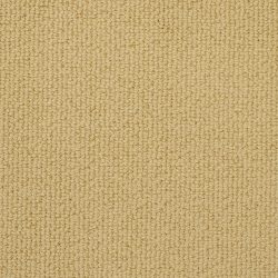 Masland  Montego Carpet 9398 356