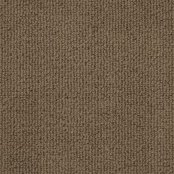 Masland  Montego Carpet 9398 696