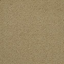 Masland  Montego Carpet 9398 719