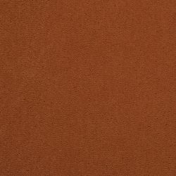 Masland  Cache Carpet 9408 232
