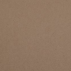 Masland  Cache Carpet 9408 402