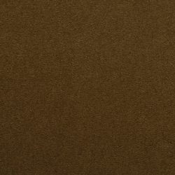 Masland  Cache Carpet 9408 538