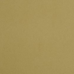Masland  Cache Carpet 9408 586
