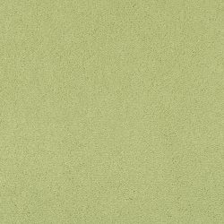 Masland  Cache Carpet 9408 729