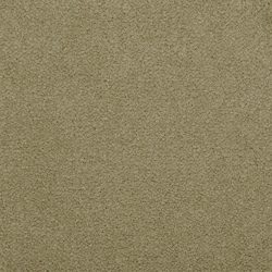 Masland  Panache Carpet 9431 217
