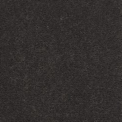 Masland  Panache Carpet 9431 244