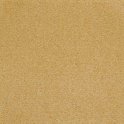 Masland  Panache Carpet 9431 261