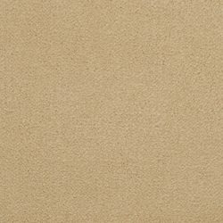 Masland  Panache Carpet 9431 263