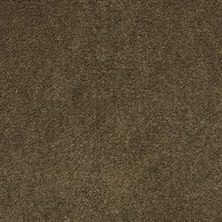 Masland  Panache Carpet 9431 291