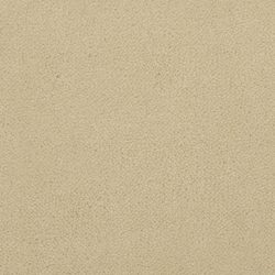 Masland  Panache Carpet 9431 304