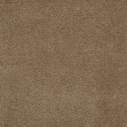 Masland  Panache Carpet 9431 305