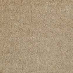 Masland  Panache Carpet 9431 333