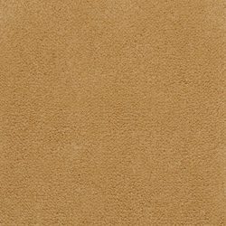 Masland  Panache Carpet 9431 355