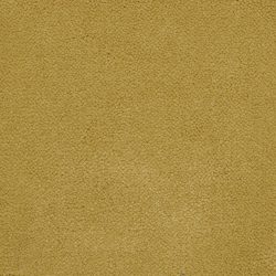 Masland  Panache Carpet 9431 369